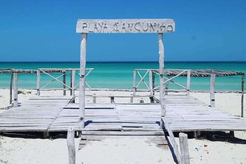 Playa del Carmen: Rio Lagartos and Las Coloradas Tour - Key Points