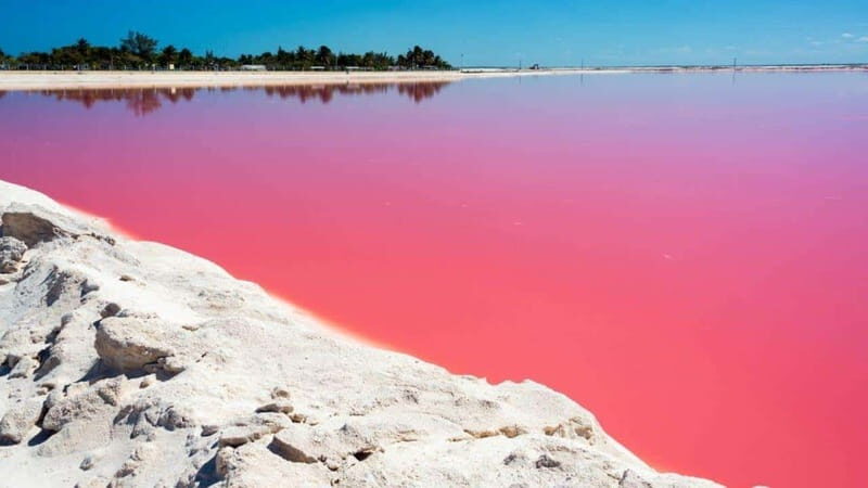 Playa del Carmen: Rio Lagartos and Las Coloradas Tour - A Deep Dive into the Experience