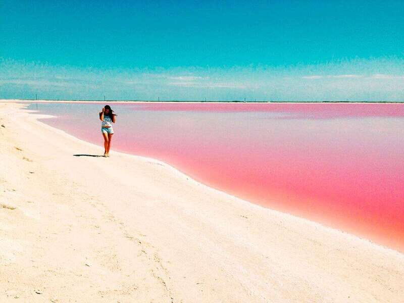 Playa del Carmen: Rio Lagartos and Las Coloradas Tour - Final Thoughts: Is It Worth It?
