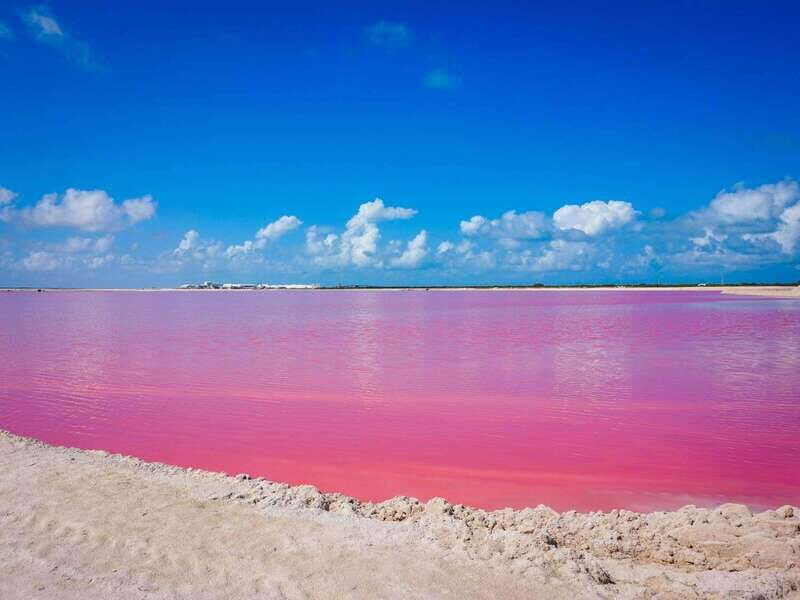 Playa del Carmen: Rio Lagartos and Las Coloradas Tour - FAQs