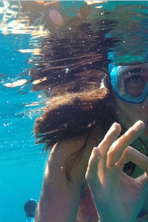 Playa del Carmen: Snorkel Tour at Local Reef - What We Loved and What to Watch Out For