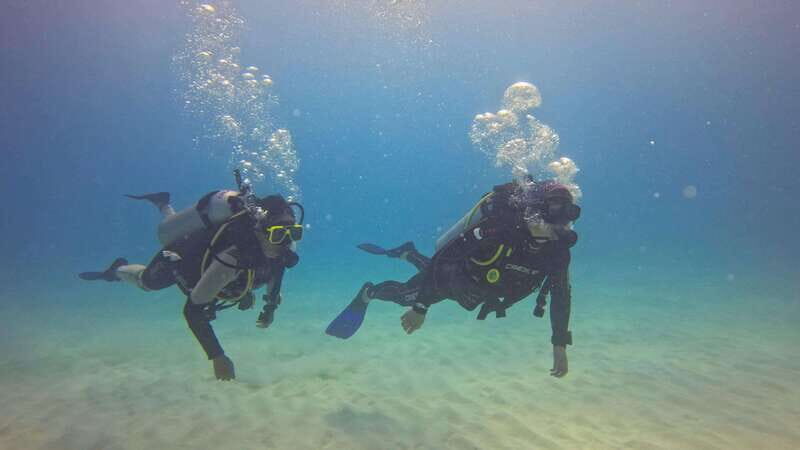 Playa del Carmen: SSI Open Water Course - What’s Included and What You Need to Know