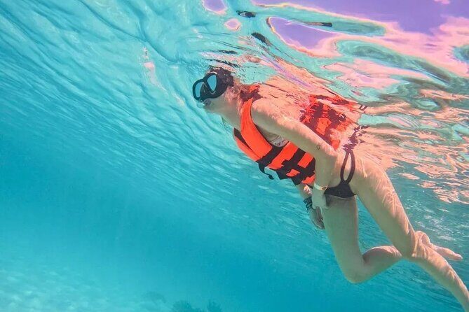 Playa del Carmen Tour Akumal Swimming With Turtles And Lagoon Yal Ku - The Experience Provider