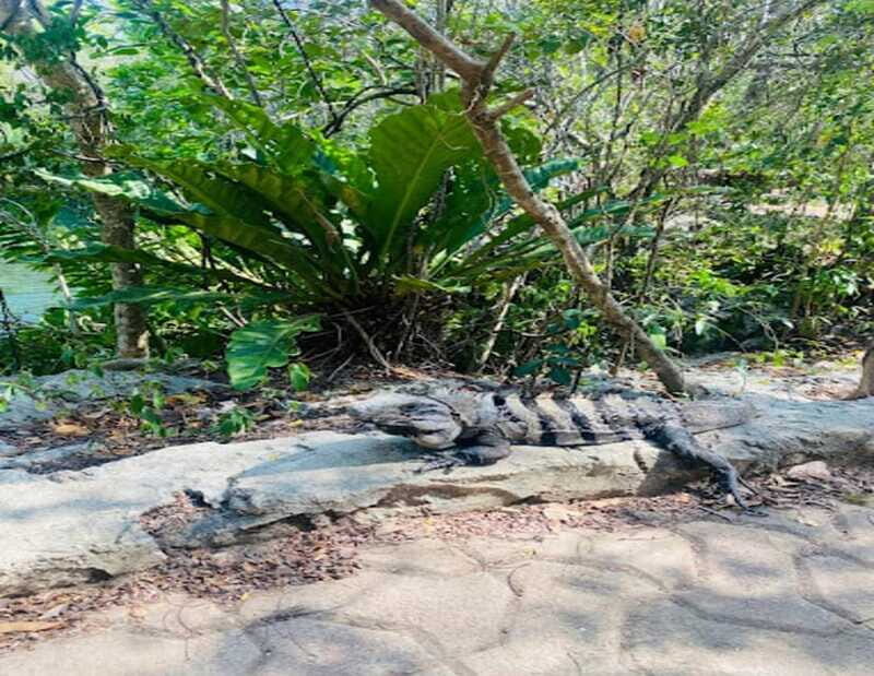 Playa del Carmen: Tour to Chichén Itzá and Valladolid - Who Should Consider This Tour?