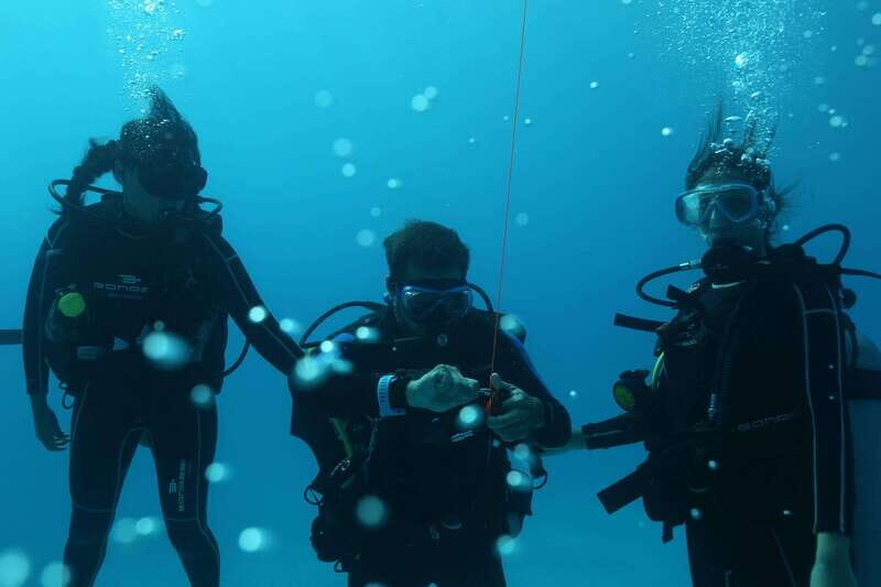 Playa del Carmen: Try Scuba Diving - No Experience Required - Final Verdict