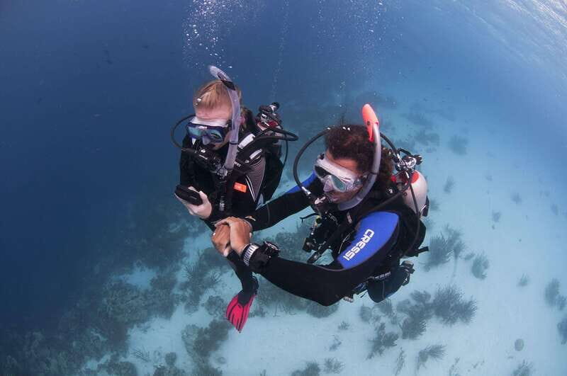 Playa del Carmen: Ultimate PADI Open Water Diver Experience - Key Points