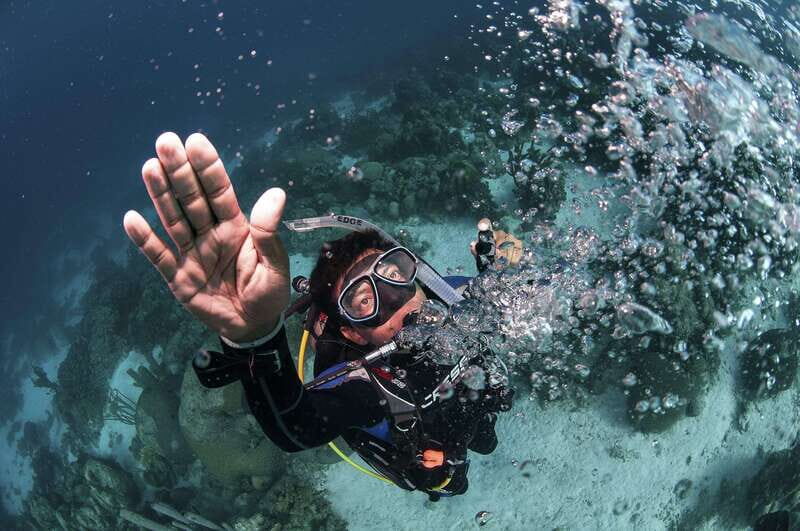 Playa del Carmen: Ultimate PADI Open Water Diver Experience - Who Will Love This Experience?