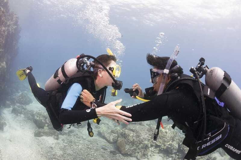Playa del Carmen: Ultimate PADI Open Water Diver Experience - The Bottom Line: Is It Worth It?