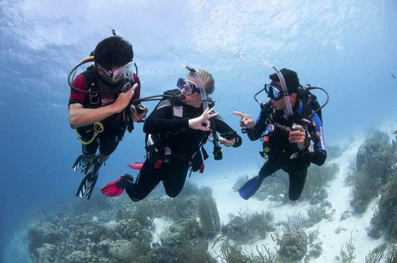Playa del Carmen: Ultimate PADI Open Water Diver Experience - FAQs