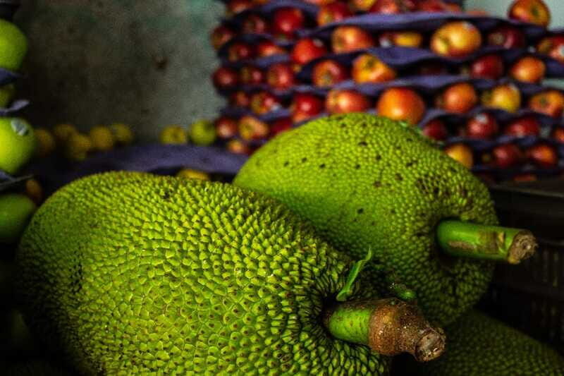 Playa del Carmen: Vegan Food Walking Tour - Final Thoughts