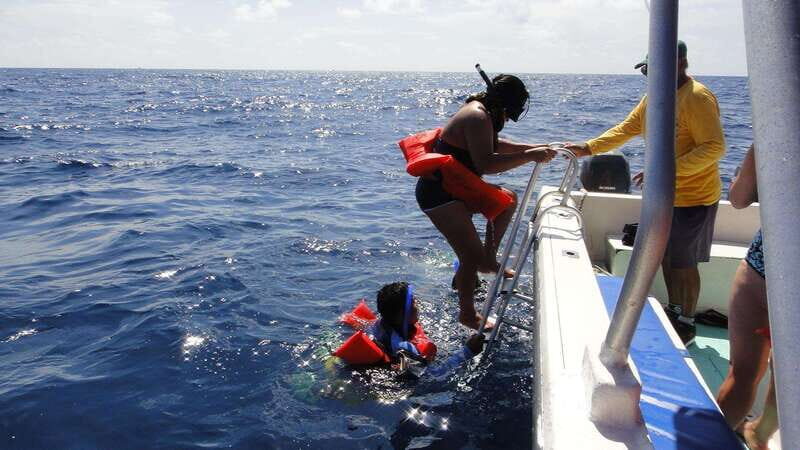 Playa del Carmen:Whale shark Experience in the Caribbean Sea - Final Thoughts