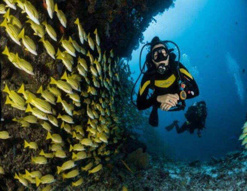 Playa: Dive in Cozumel - Who Would Love This Tour?