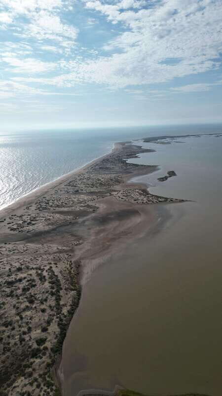 Playa el Cardonal: tour and sandboarding activity in the dunes of Sahuimaro - Authentic Perspectives