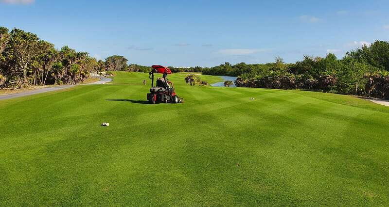 Playa Mujeres Golf Course - Authentic Traveler Insights