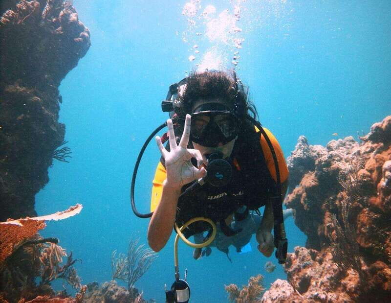 Playa: PADI Dive Master - What Is the PADI Dive Master Course?