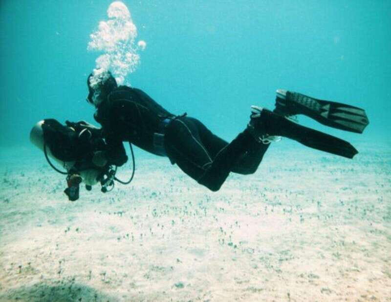 Playa: PADI Dive Master - Course Duration and Structure