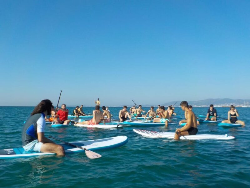 Playa Palma: Stand-up Paddleboard Rental - Final Thoughts