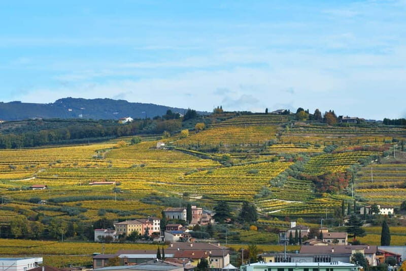 Playing with wine - FAQ