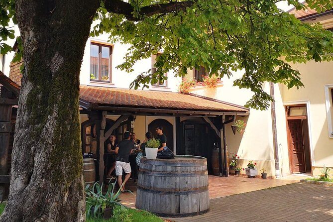 Plesivica countryside Wine Tasting - How the Experience Plays Out in Reality