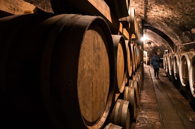 Plesivica countryside Wine Tasting - Final Thoughts: Is It Worth It?