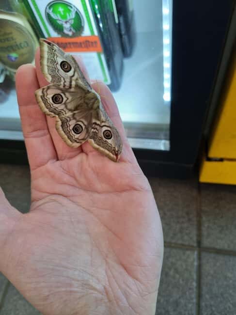 Plitvice: Guided Prayer Walk in Nature - The Practical Details