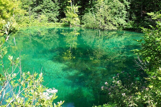 Plitvice Lakes and Rastoke Private Day Tour from Zagreb - What’s the Experience Like?