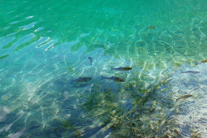 Plitvice Lakes Day Tour from Zadar, Simple and Safe - Exploring the Tour in Detail