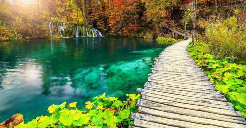 Plitvice Lakes National Park: Day Trip from Omi - A Deep Dive into the Plitvice Lakes Day Trip