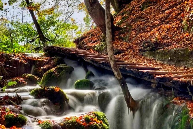 Plitvice Lakes National Park - private day-trip from Zagreb - The Details: What to Expect on This Private Day-Trip