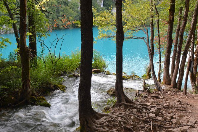 Plitvice Lakes National Park Tour from Zadar - Final Thoughts