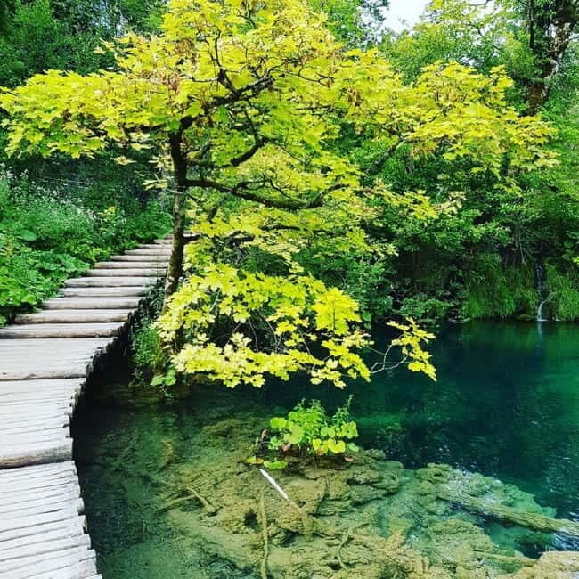 Plitvice Lakes National Park: Walking, Boat, and Train Tour - Key Points