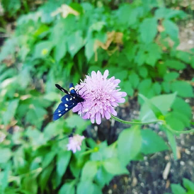 Plitvice Lakes National Park: Walking, Boat, and Train Tour - The Value for Your Money