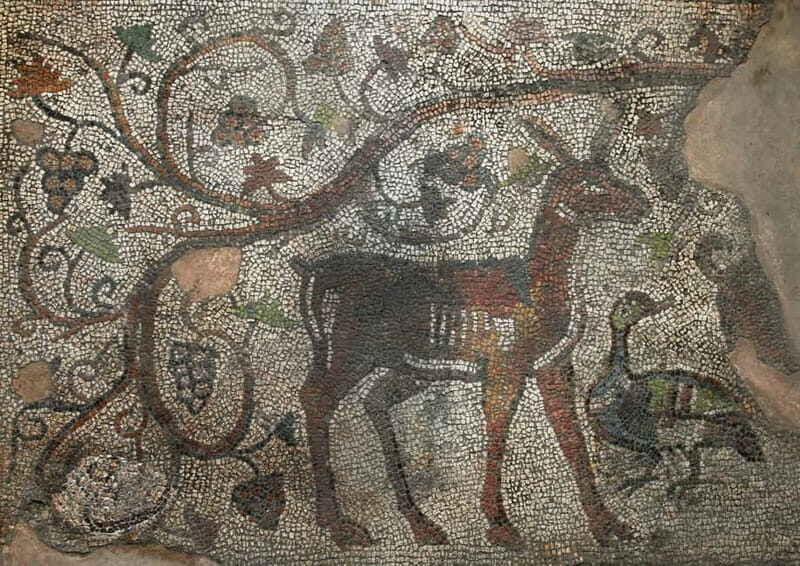 Plovdiv: Valley of the Thracian Kings Guided Day Trip - A Full Breakdown of the Day Trip Experience