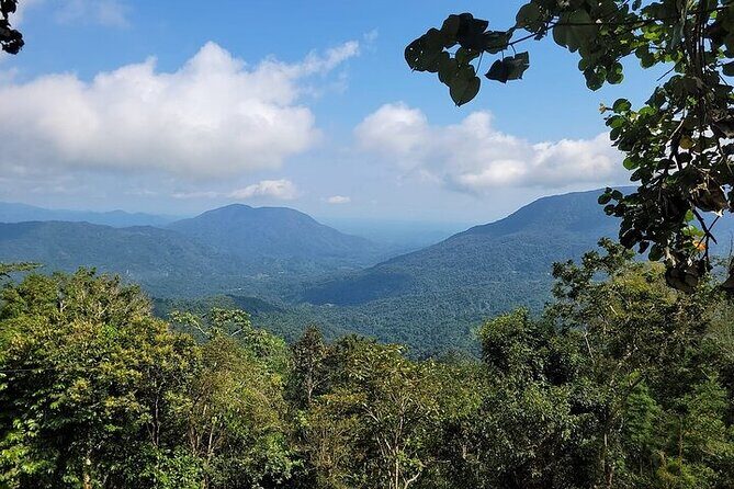 Pluma Hidalgo Coffee Experience - Is It Worth the Price?