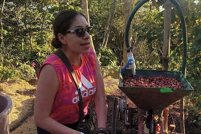 Pluma Hidalgo Coffee Experience - Who Will Love This Tour?