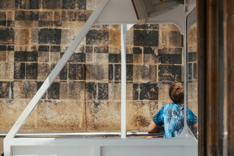 Plymouth: 1-Hour Scenic Harbour Cruise - Who is This Cruise Best Suited For?