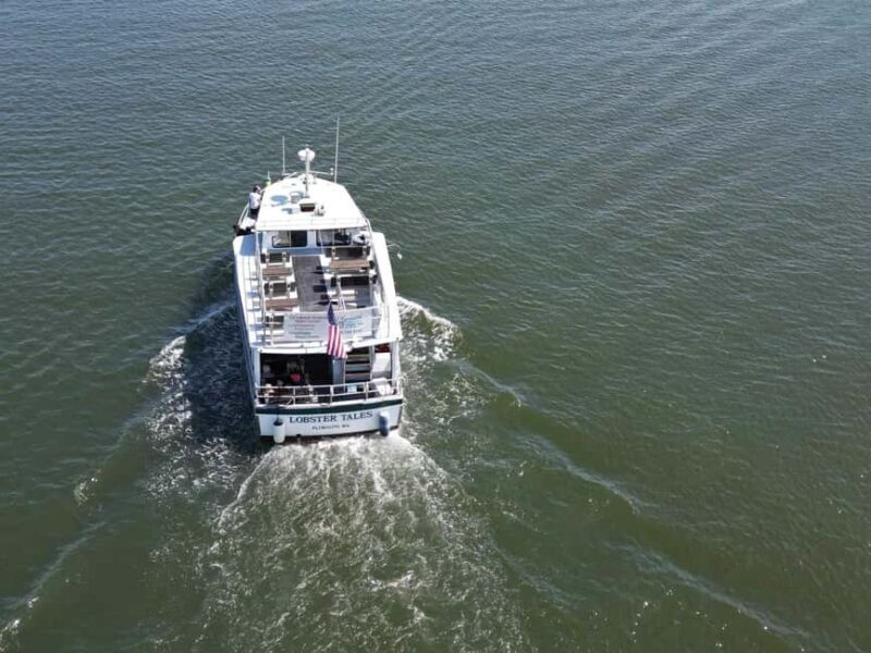 Plymouth: 2-Hour Party Cruise with Drinks and Music - Who Will Enjoy This Cruise?