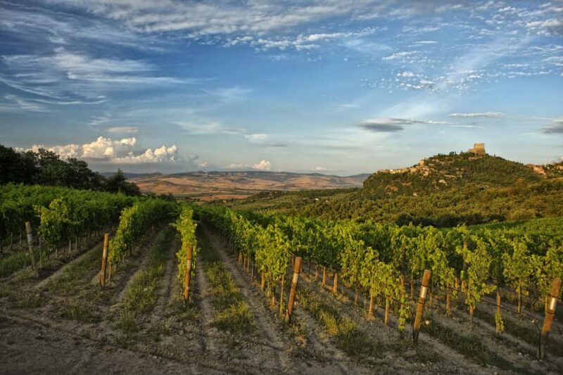 Podere Forte: Tour the winery and enjoy a tasting of three base wines - What is Podere Forte?