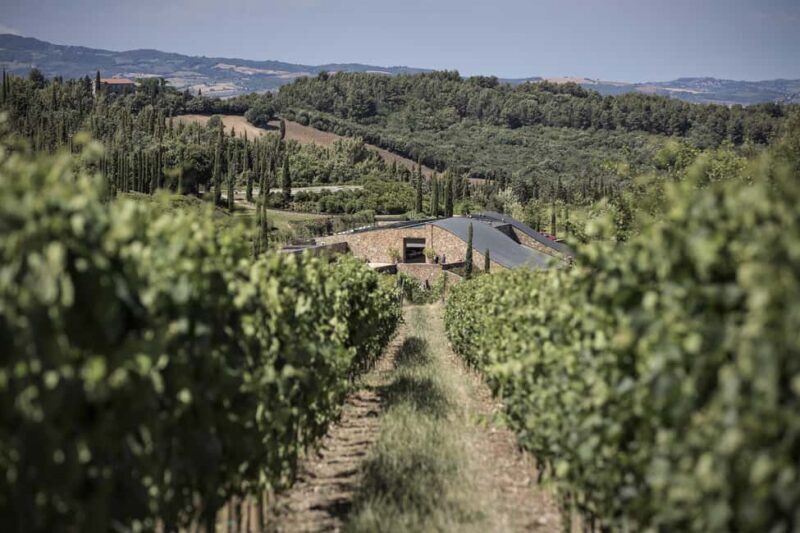 Podere Forte: Tour the winery and enjoy a tasting of three base wines - Who Should Consider This Tour?