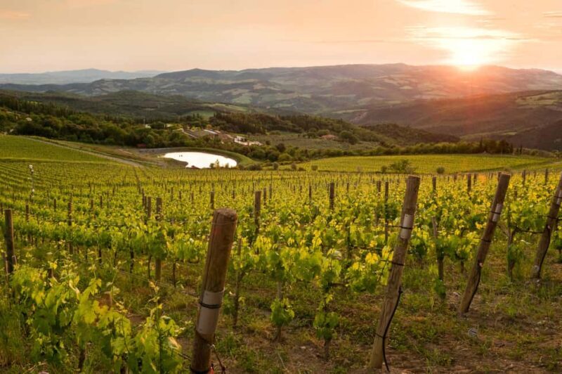 Podere Forte: Tour the winery and enjoy a tasting of three base wines - FAQs