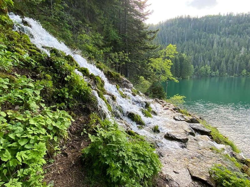 Podgorica: Durmitor National Park- Tara river, bridge & lake - Key Points