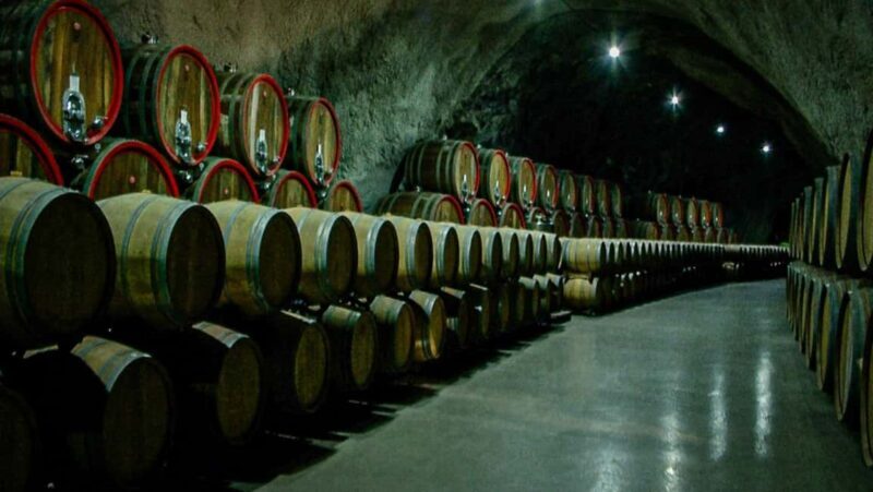 Podgorica: E-Bike Tour through Vineyards & Waterfalls - The Practical Side