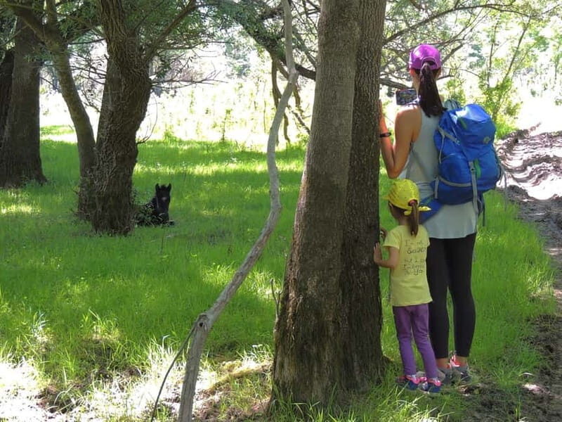 Podgorica Historic, Safari and Winery tour - Skadar lake - Key Points