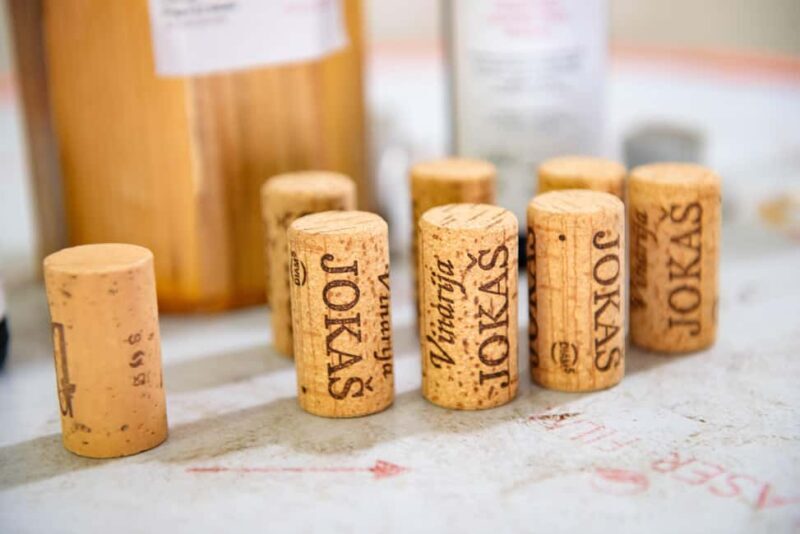 Podgorica: Panoramic Wine Tasting & Snack - Key Points