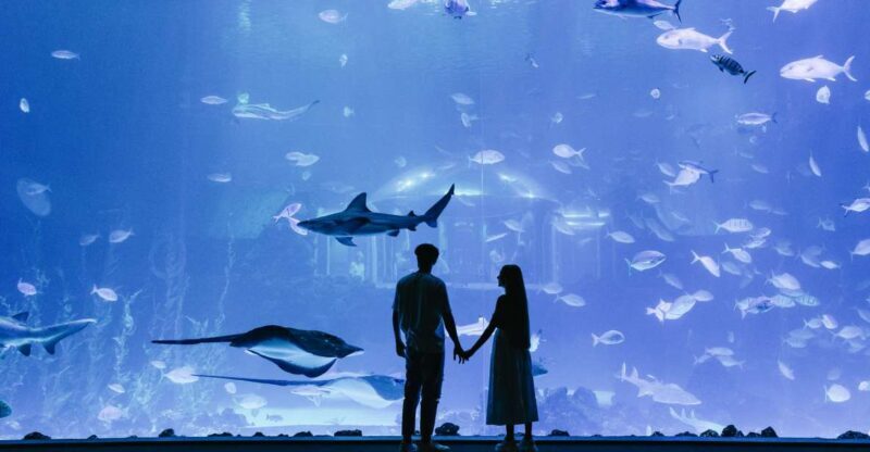 Poema del Mar Skip-the-Line Ticket - Who Will Love This Experience?