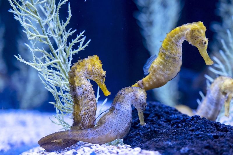 Poema del Mar Skip-the-Line Ticket - Food and drinks: plan a cafe stop, since it’s not included