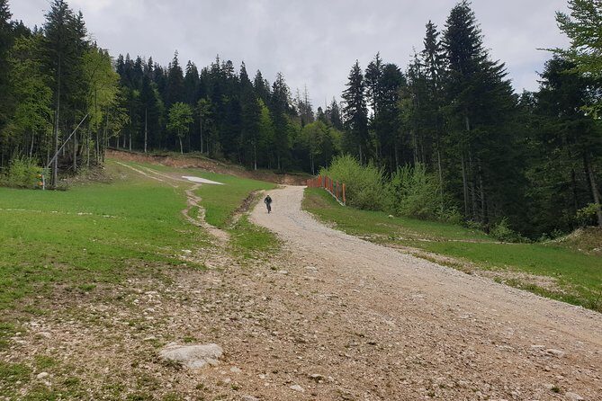 POIANA BRASOV and POSTAVARU CHALET eBike tour (BRASOV) - The Route in Detail: What to Expect at Each Stop
