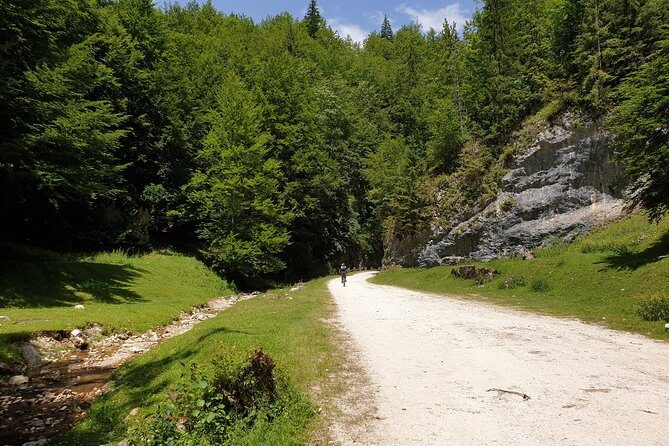 POIANA BRASOV and POSTAVARU CHALET eBike tour (BRASOV) - Wrapping Up