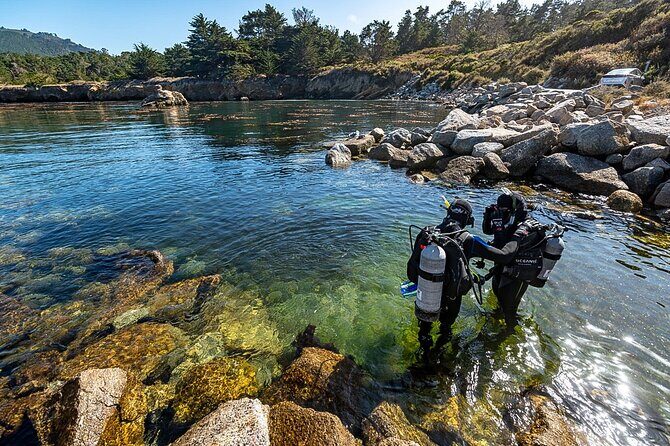 Point Lobos - A Private Charming Ocean Tour - Starting Point and Logistics