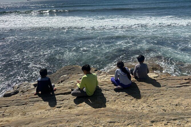 Point Loma Tide Pool Tour - Exploring the Point Loma Tide Pool Tour: An Honest Look